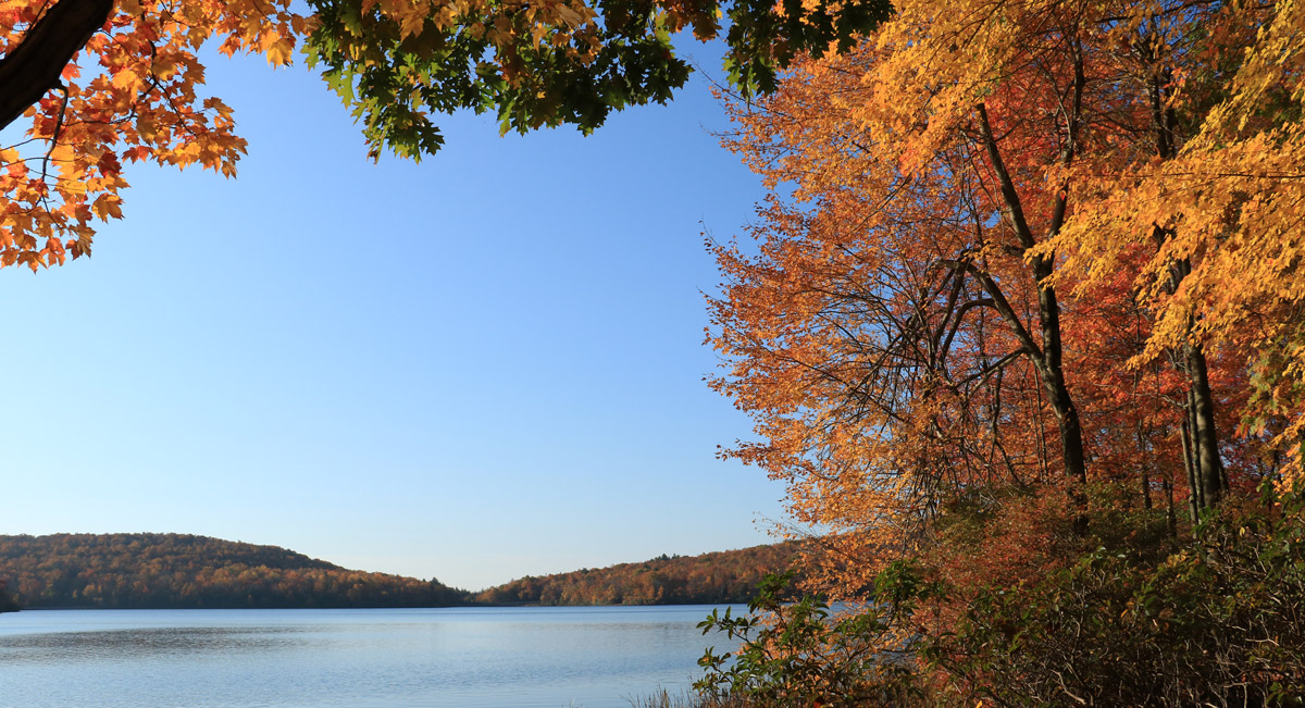 Properties Blue Ridge Real Estate Company